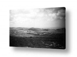 דוד לסלו סקלי דוד לסלו סקלי - צילומים מארץ ישראל הישנה - עץ | נוה אילן 1948 מבט לים