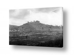 תמונות לפי נושאים תש«ח | נווה אילן 1948 גבעה
