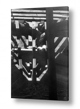 תמונות לפי נושאים תל_אביב | תל אביב 1937 בתוך הסירה