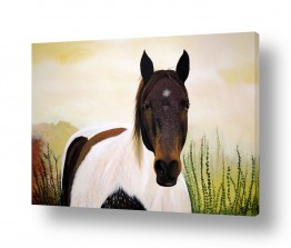 ציורים ציורים של בעלי חיים | סוס
