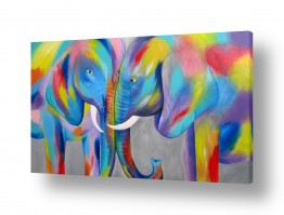 ציורים ציורים של בעלי חיים | פילים