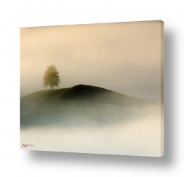 צבעים פופולארים צבע חימר | חיים בערפל