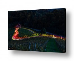 רגשות אהבה | כביש הלב