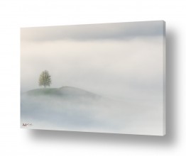 מדבקות קיר מדבקות קיר מעוצבות למשרדים | בוקר ערפילי