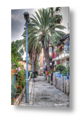 מתן הירש מתן הירש - צילום אומנותי בישראל ובעולם - רחוב ירושלמי | משכנות שאננים