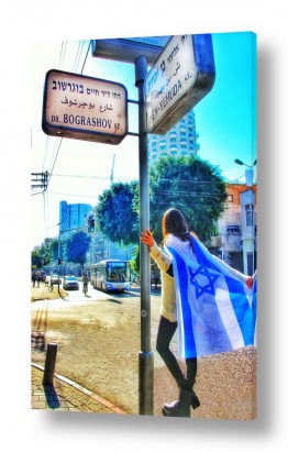 תל אביב-יפו TLV Street Signs | בוגרשוב - בן יהודה והדגל