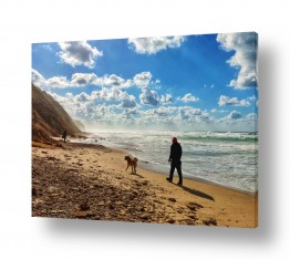 מתן הירש מתן הירש - צילום אומנותי בישראל ובעולם - בעלי חיים | חוף הים בחורף
