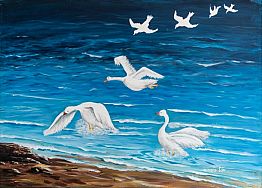 מחול השחפים