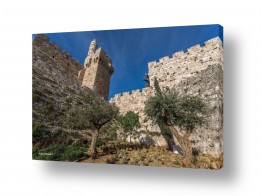 מיכאל שמידט מיכאל שמידט - צלם טבע ונופים של ארץ ישראל היפה - מגדל | מאז ולתמיד