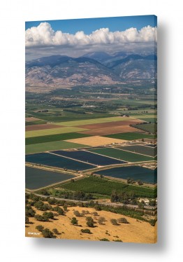 ימים ואגמים בישראל אגם החולה | פסיפס של שדות