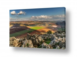מיכאל שמידט מיכאל שמידט - צלם טבע ונופים של ארץ ישראל היפה - שדה | עמק המעיינות