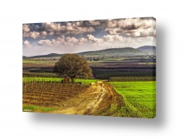 נופים בארצנו היפה נוף חקלאי בארץ ישראל | עונת מעבר