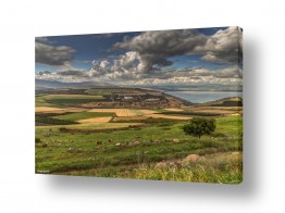 מיכאל שמידט מיכאל שמידט - צלם טבע ונופים של ארץ ישראל היפה - אביב | פסטורליה ישראלית