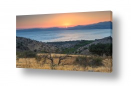 מיכאל שמידט מיכאל שמידט - צלם טבע ונופים של ארץ ישראל היפה - חוף | צבעי סוף הקיץ...