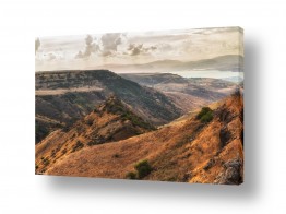 מיכאל שמידט מיכאל שמידט - צלם טבע ונופים של ארץ ישראל היפה - הר | גמלא..