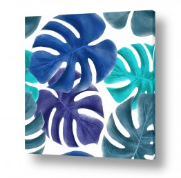 תבניות תבניות של פרחים וצמחים | עלי דקל כחולים