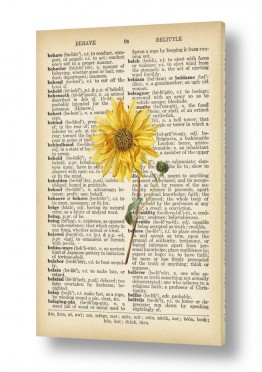 פרחים חמניה | חמניה רטרו על טקסט