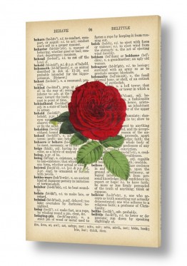 פרחים ורדים | שושנה רטרו על טקסט