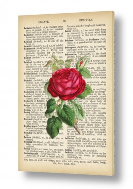 Artpicked  Artpicked  - כל מה שחם וטרנדי בעולם - פרח | שושנה אדומה רטרו 