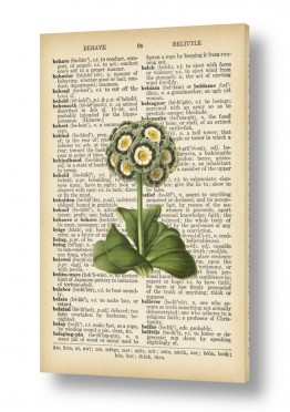Artpicked  Artpicked  - כל מה שחם וטרנדי בעולם - פרחים | פרחים לבנים פירושים