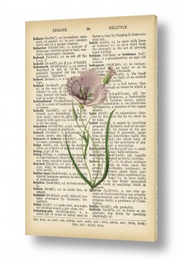 פרחים פרגים | פרג לבן רטרו על טקסט
