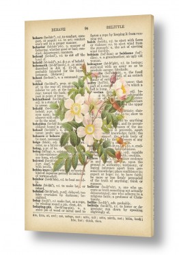 Artpicked  Artpicked  - כל מה שחם וטרנדי בעולם - פרחים | זר לבן רטרו על טקסט