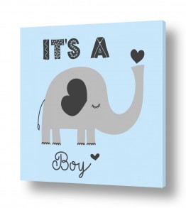 יונקים פילים | Its a boy