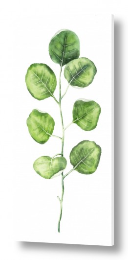 צמחים עלה | בוטני לקיר גלריה 5