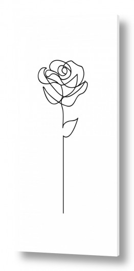ציורים Artpicked  | ורד בקו 2