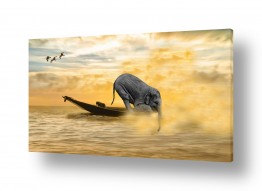 ציורים Artpicked  | פיל ימי