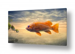 חיות מים דגים | דג זהב סוריאליזם