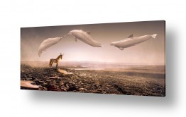 קולקציות תמונות קנבס זכוכית מודרניות | דולפינים מעופפים