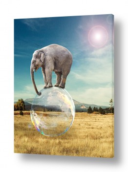 קולקציות תמונות קנבס זכוכית מודרניות | פיל על בועת סבון