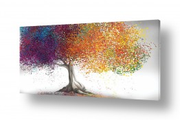 עצים גזעים | עץ הצבעים