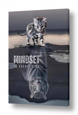 חיות בית חתולים | Mindset is Everything