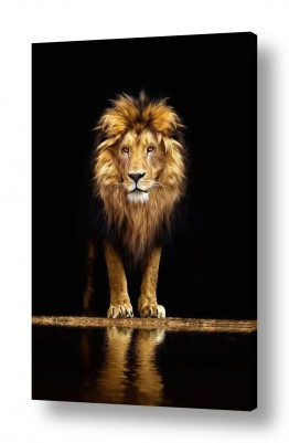 קולקציות תמונות קנבס זכוכית מודרניות | אריה שחור זהב מודרני