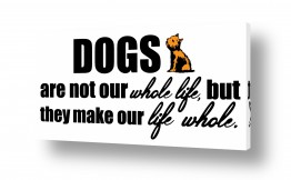 תמונות לפי נושאים life | Dogs are our life