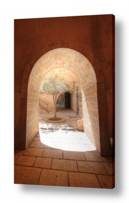 צילומים משה בר | האור בקצה המנהרה
