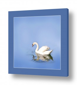 תמונות מעוצבות לחדר שינה תמונות לחדר שינה איקאה | מים צלולים