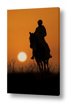 יונקים סוסים | רכיבה בחשכה