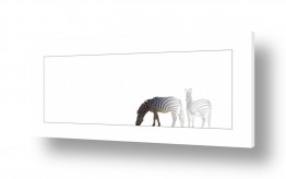 אלמנטים דקורטיביים תבניות | מאיור למציאות