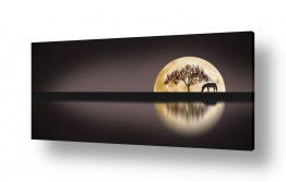 צילומים תמונות נוף פנורמי | חיי לילה