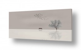 צילומים תמונות נוף פנורמי | שלווה