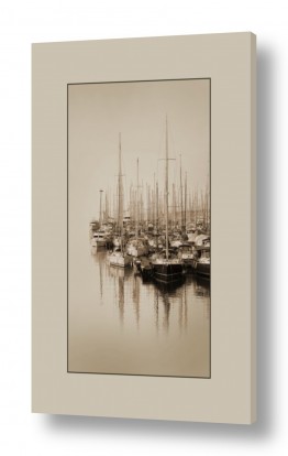 צילומים תמונות בגוון ספיה | השתקפות