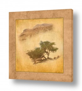 צילומים נופים יפים | אוויר הרים