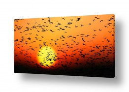 תמונות זכוכית תמונות זכוכית למשרד | תפזורת