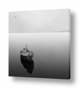 חדרים תמונות לחדר כביסה | דממה