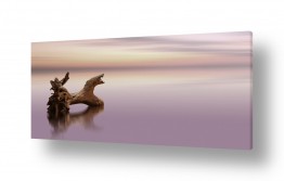 שילובים של צבע אפור אפור וורוד | בדד