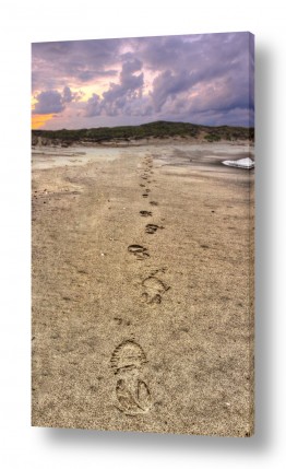 צבעים פופולארים צבע חימר | צעדים