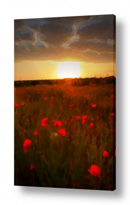 פרחים לפי צבעים פרחים אדומים | נגיעות של אדום